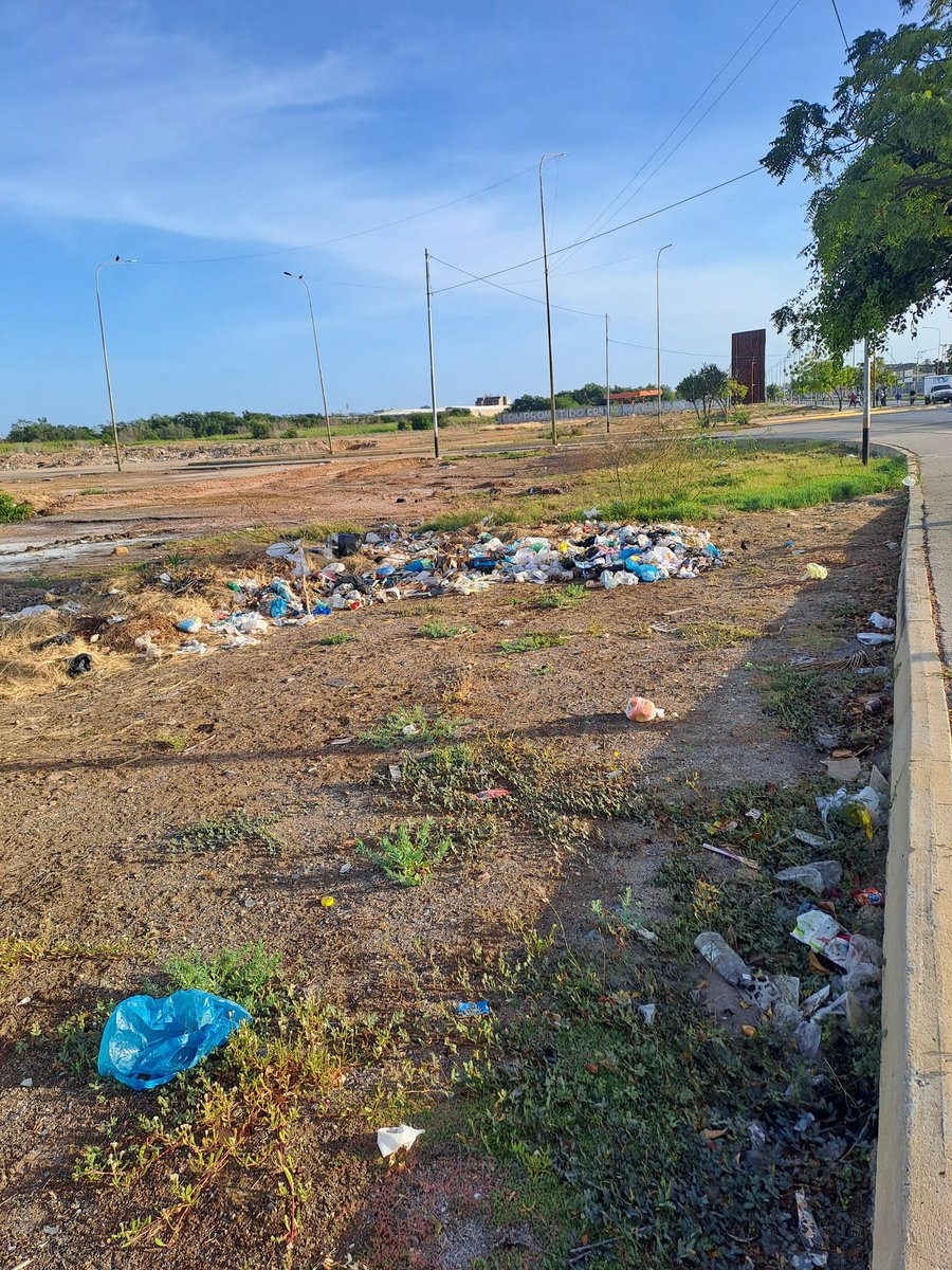 oehg46's tweet photo. Se está creando un basurero en la Av Universidad en la entrada del aeropuerto viejo cerca de la redoma https://t.co/EBlulH4C5r