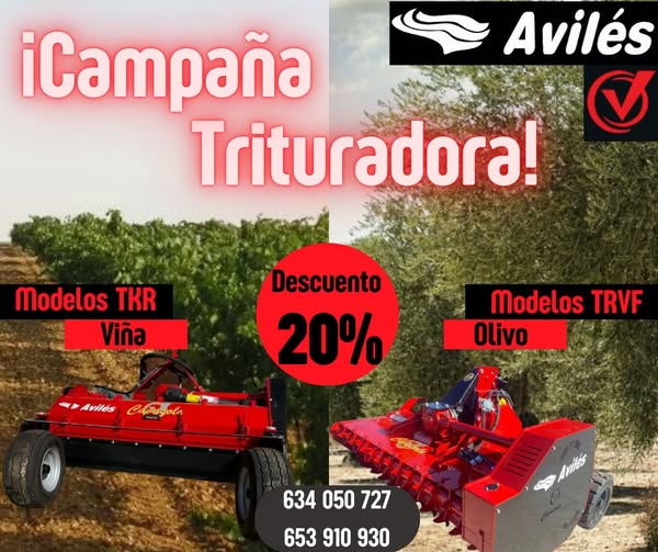 GRUPO AVILÉS (@grupo_aviles) on Twitter photo 