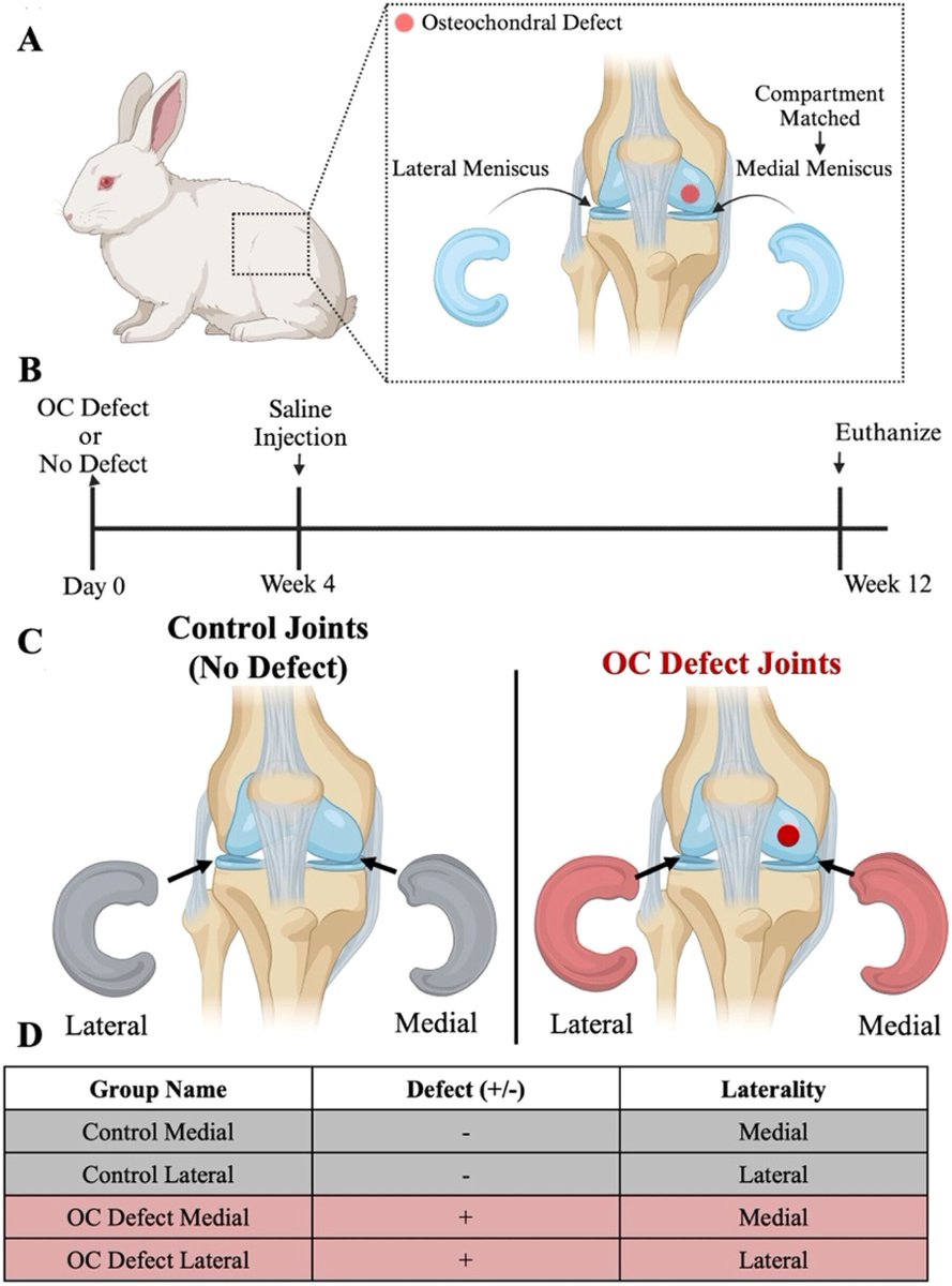 Brenna Pugliese tweet media