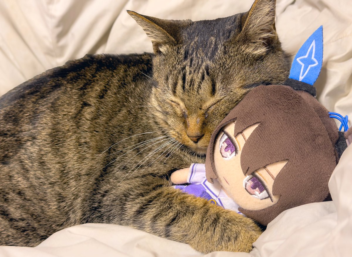 黒井澪（Kuroiray） (@kuro_kuro_kuroi) / Posts / X