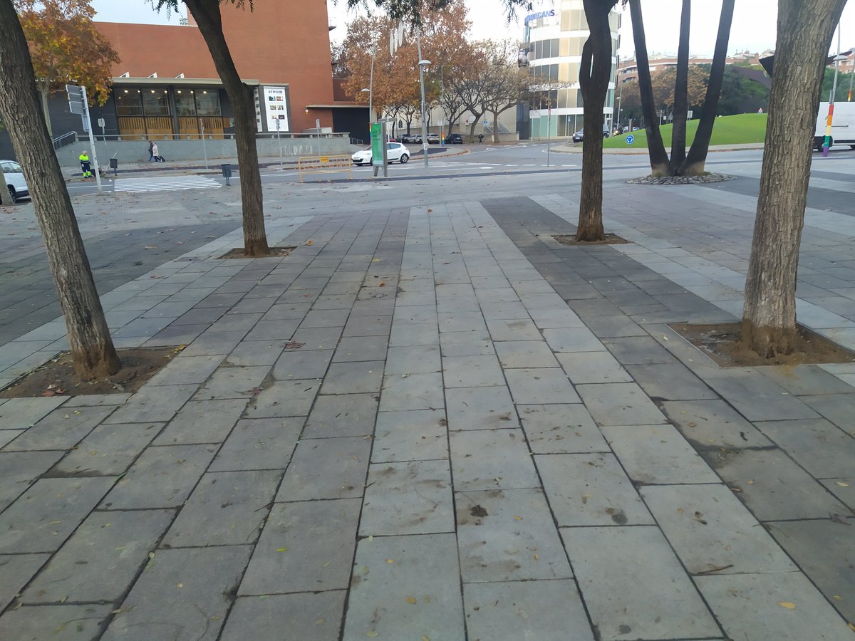 Birradegossos's tweet photo. El abans i el despres escocells #ConamaViladecans
#ViladecansHoPeta #AmbElsCalersDeTothom #SomGreenLeaf #LEfecteViladecans #ViladecansITu #ViladecansSoluciona #TransicióEnergètica #Sostenibilitat #Agenda2030 #Viladecans330300 #ApadrinaEscocells #Renaturaltzacio #FesTeNFan https://t.co/1jy2Sf4thv