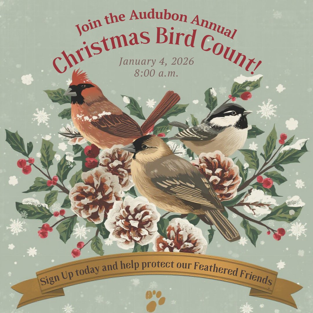 LoxRiverCenter's tweet photo. 🐦 Join the Christmas Bird Count! 🎄 Sunday, January 4, 2026 at 8 a.m. Whether an expert or a novice, every bird counts! Let’s go birding together! 🌿🐦⬛ https://t.co/BIrV3fKhkv
#ChristmasBirdCount #CommunityScience #BirdWatchers https://t.co/C5bO2Ti1rN