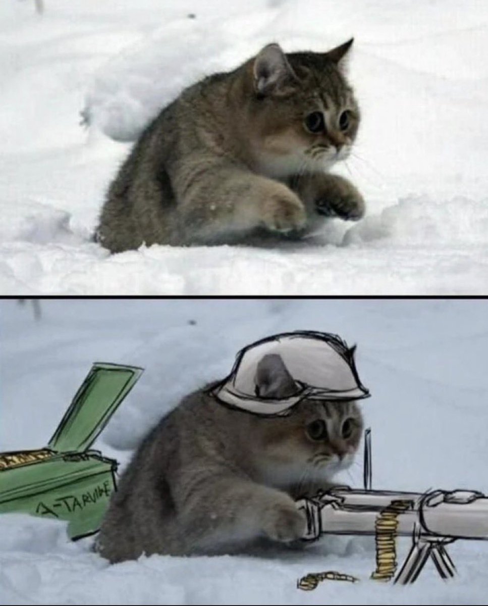 catshealdeprsn's tweet image. 