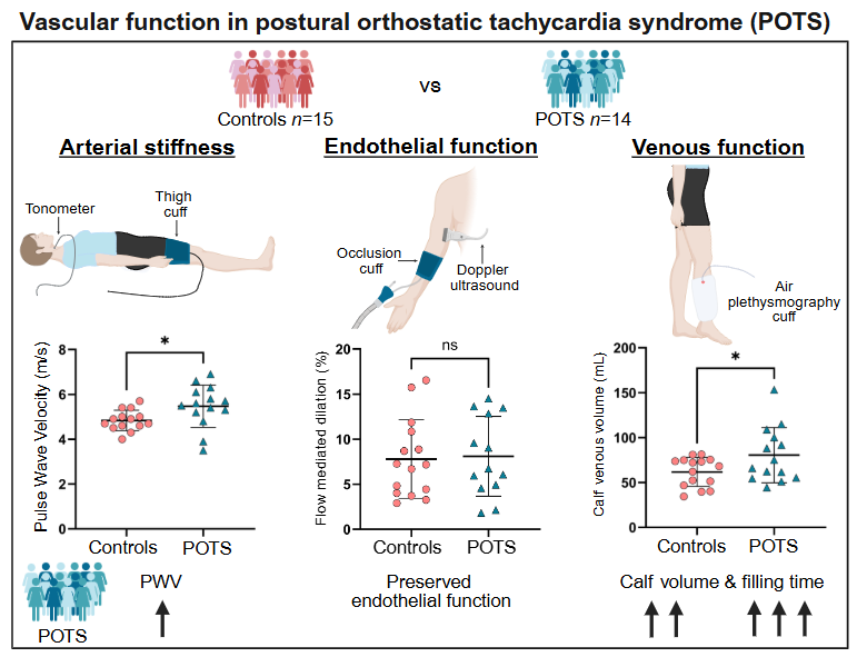 ajpheartcirc's tweet photo. Happy to spotlight one of first #ArticleinPress papers from our Kiwi friends at @otago! Central #arterial stiffness, flow-mediated dilation and venous function in postural orthostatic tachycardia syndrome (POTS) (Greer Pugh et al.):

https://t.co/kQj45thD9W https://t.co/dEykkUUaYm