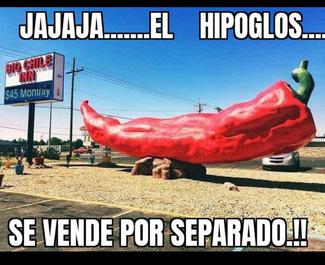 Javier tweet media