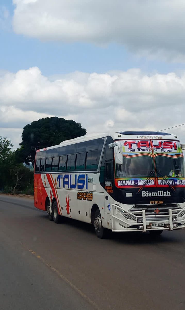 Tausi Coaches 🚎 tweet media