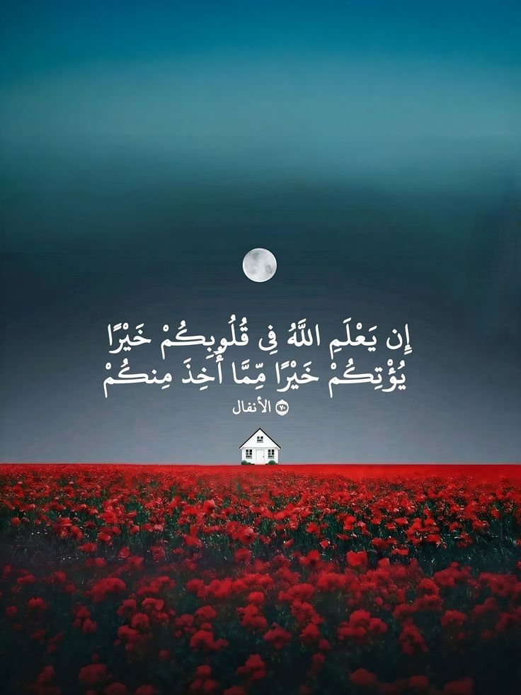 مُطمئِنةَ.! tweet media