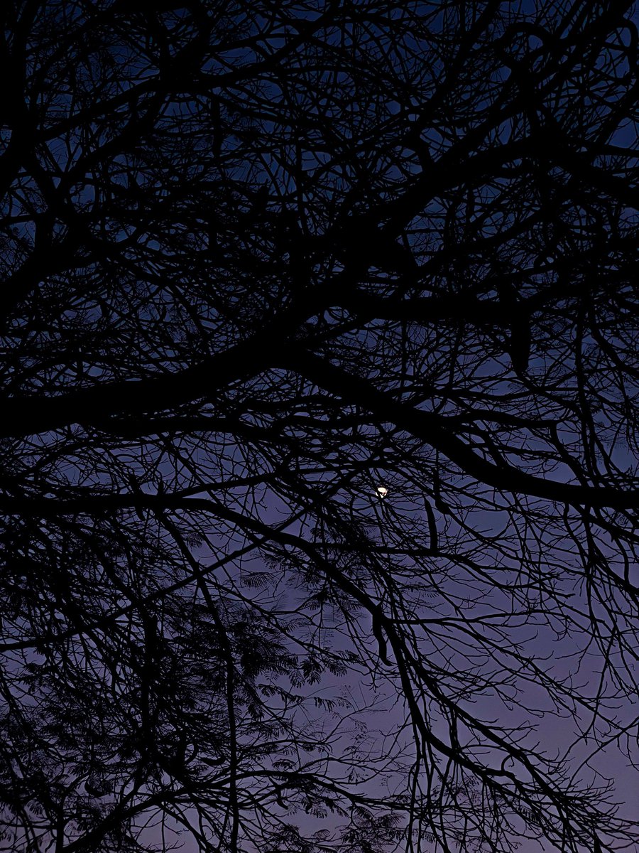 📸 (@theonewithshot) on Twitter photo 