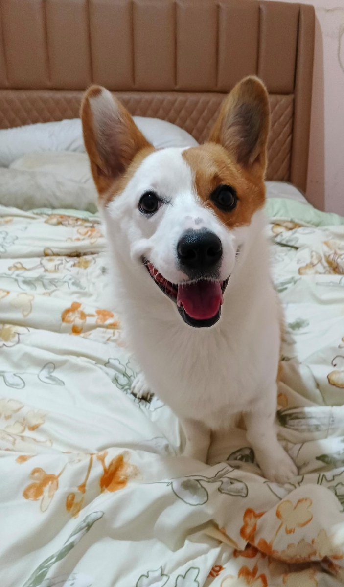 Beatrix Dwiliani tweet media