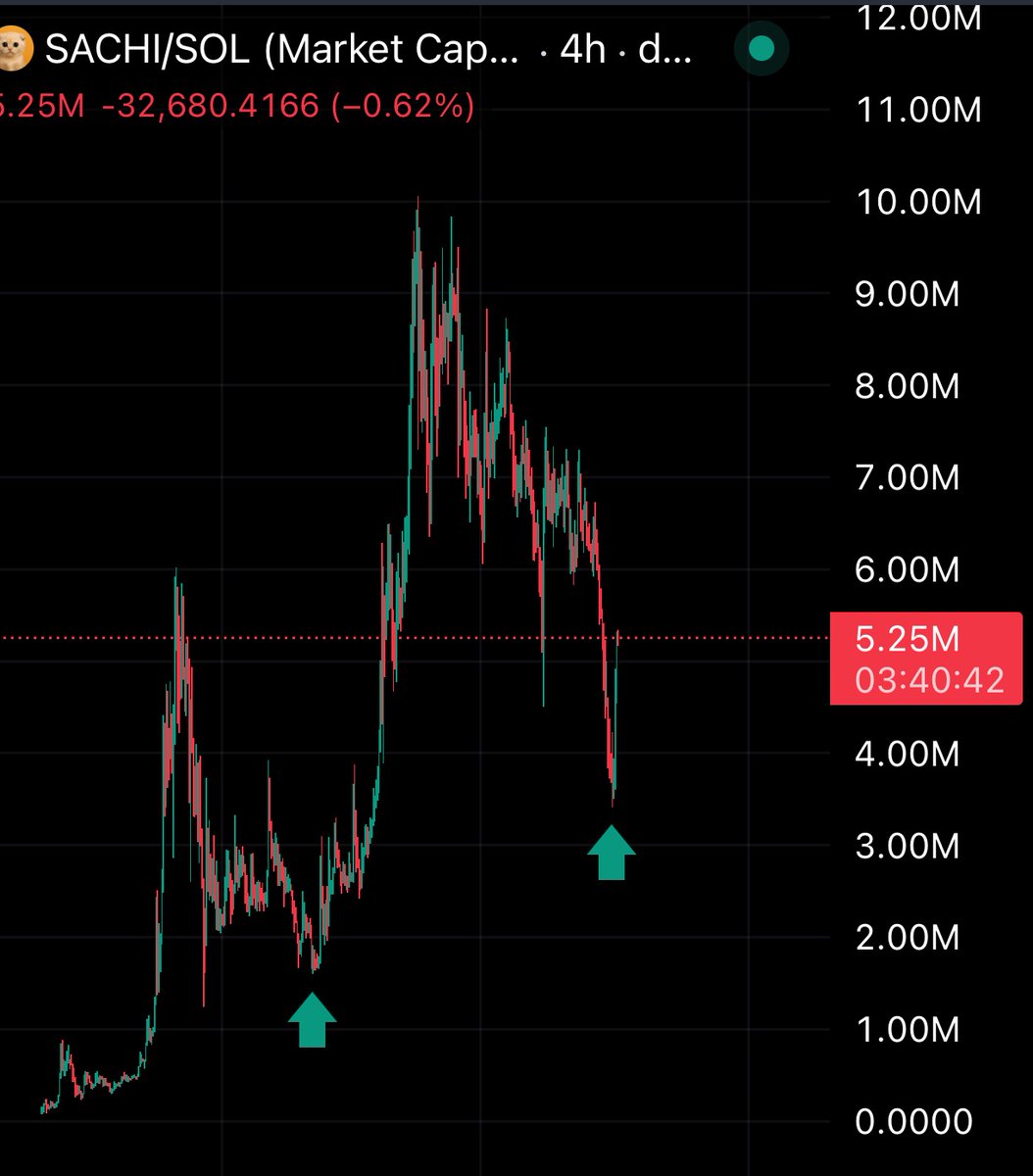 I heard rumors. If you are one of the holders of $SACHI, be ready.

Mark this bottom.