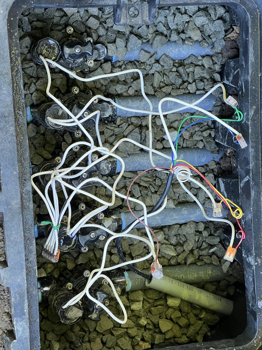 Richard Manly tweet media