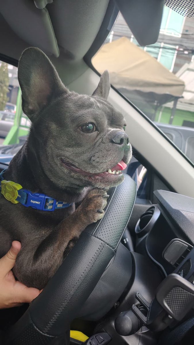 simosagus's tweet photo. 3 añitos del Bugatti. ❤️ https://t.co/siw1uBJauL