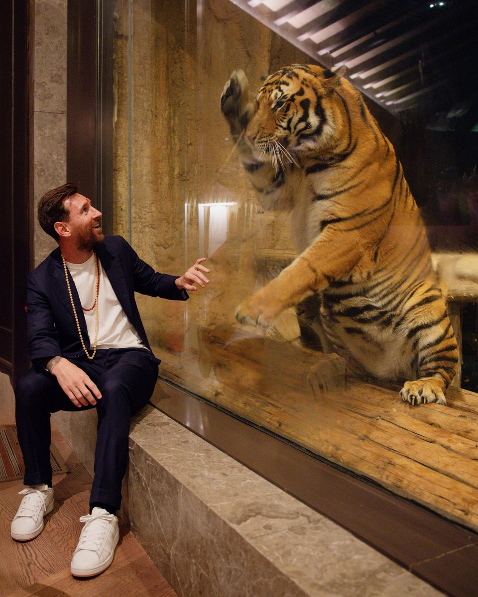 thenewsdrill's tweet photo. 🚨 Lionel Messi visited Anant Ambani’s Vantara wildlife conservation centre, accompanied by Luis Suárez and Rodrigo De Paul.

In a touching moment, Messi worships Lord Hanuman’s idol, bowing and touching the feet blending global sport with Indian culture. 🇮🇳⚽ https://t.co/qLjkTHehDe