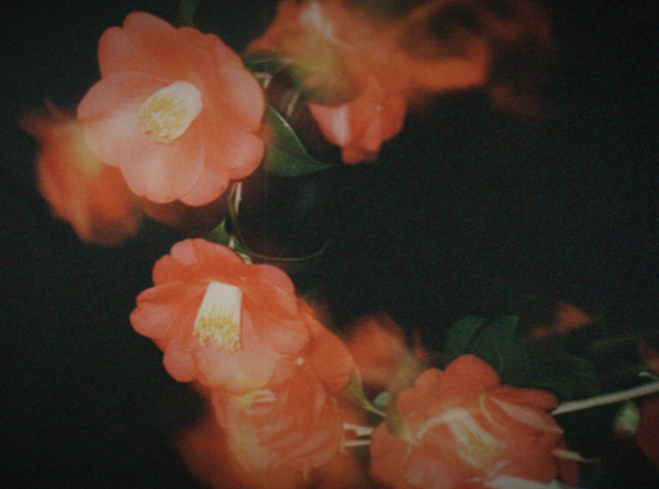 𝐄𝐕𝐈𝐄 ฅᗢฅ 2.0 (@hotyapperbackup) / Posts / X