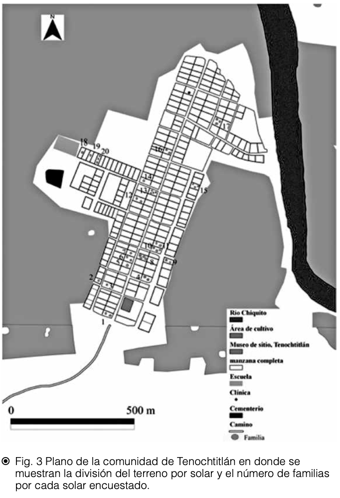 Las arqueólogas Virginia Arieta y Ann Cyphers propusieron algo innovador: mirar al presente para entender el pasado.
A solo 2.5 km del sitio está el pueblo actual de Tenochtitlán, Veracruz, con un entorno casi idéntico al antiguo.
Ahí identificaron la unidad básica de ocupación:
