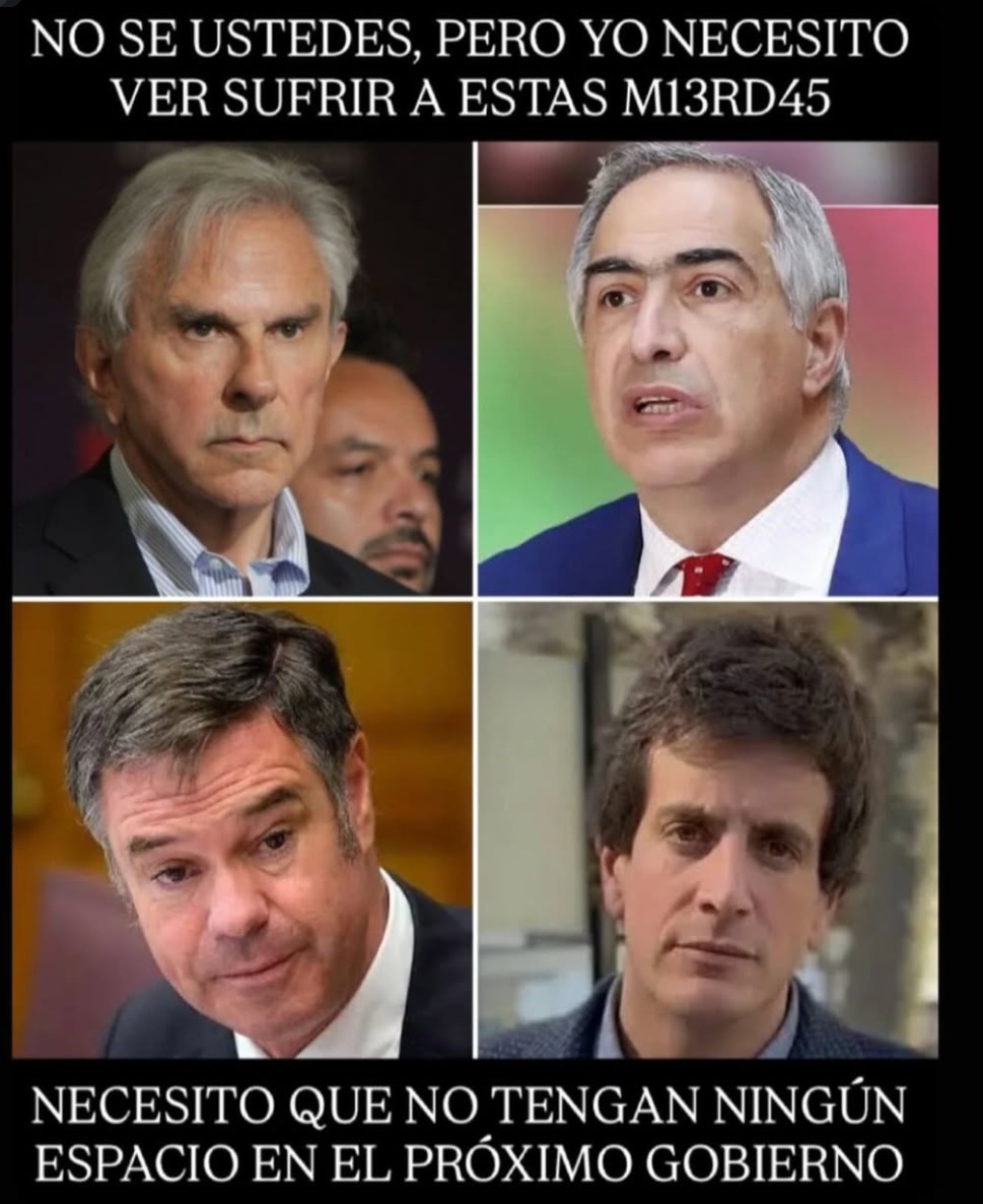 Amalia 🇨🇱🇨🇱 tweet media