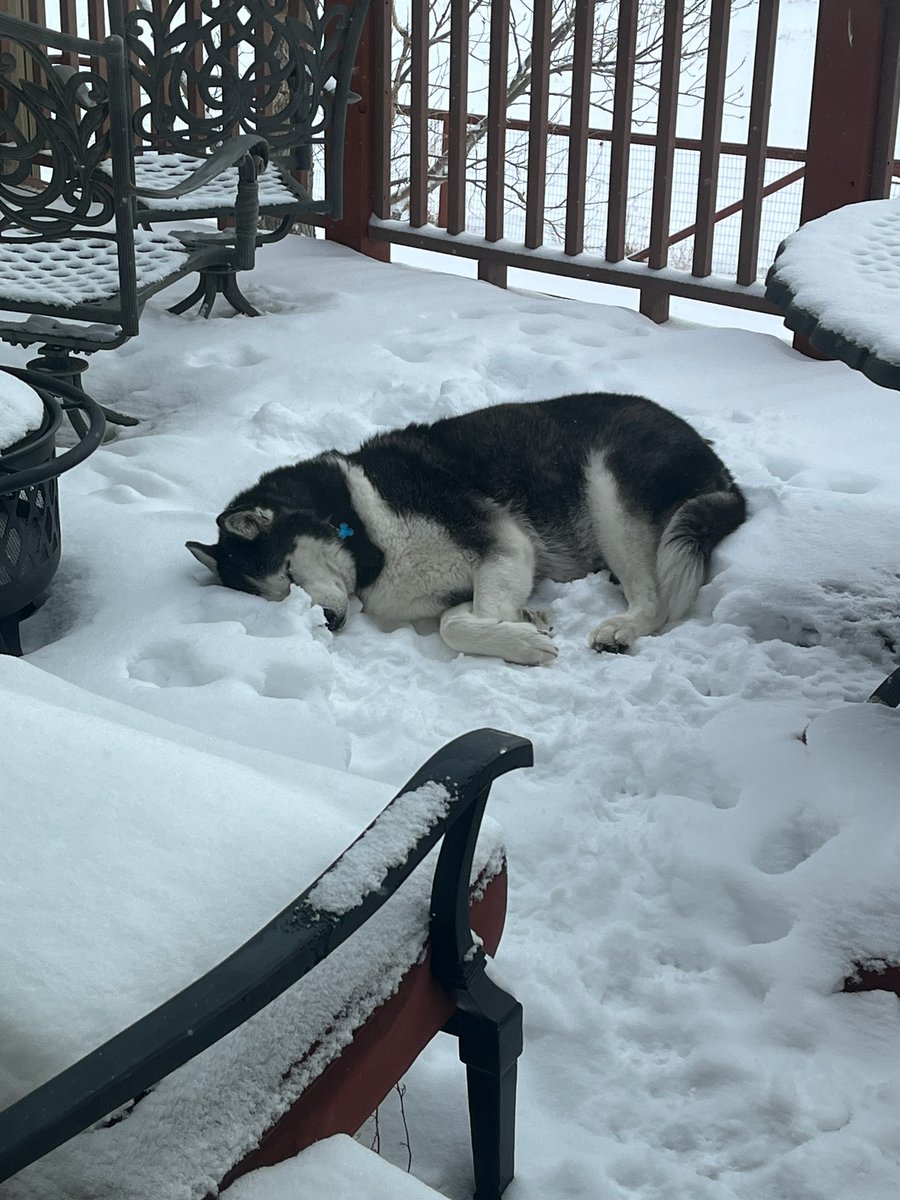 David Hetzler tweet media