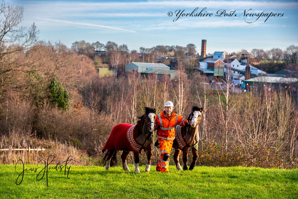 James Hardisty tweet media