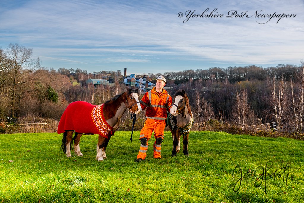 James Hardisty tweet media