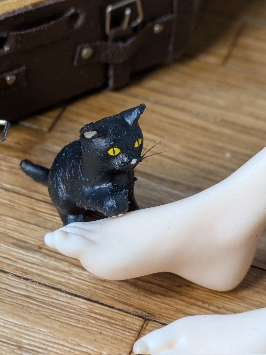 Lindo gatito 😺

#diorama #frieren