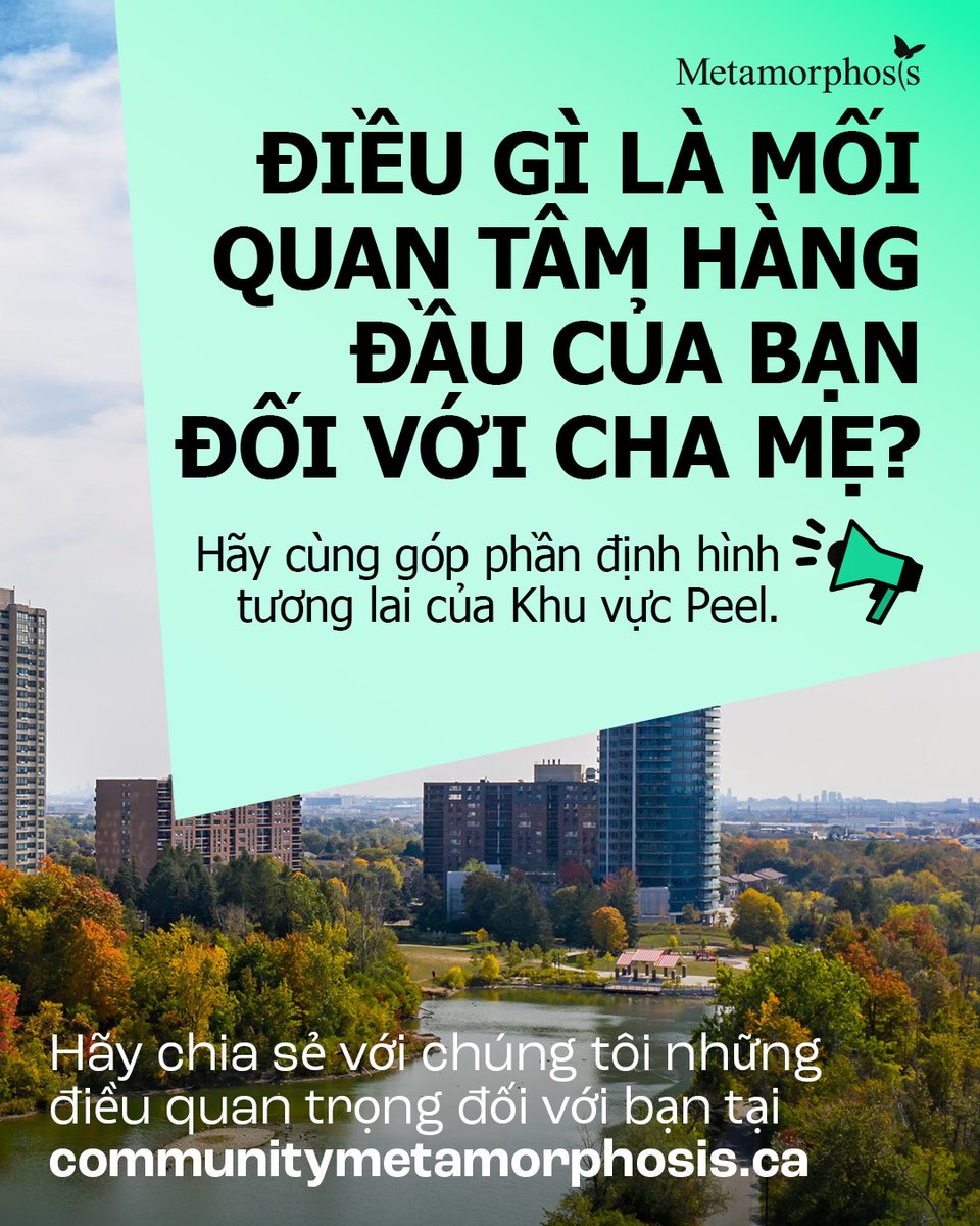 Metamorphosis Network tweet media