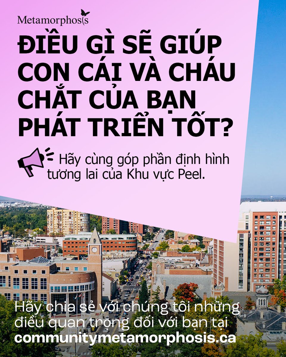 Metamorphosis Network tweet media