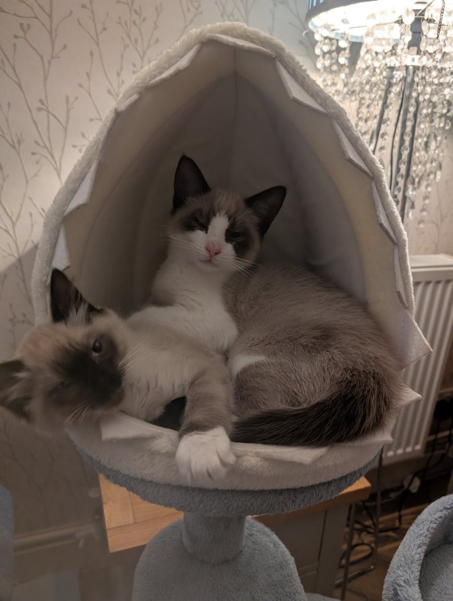 Slightly Dotty ♥️ tweet media