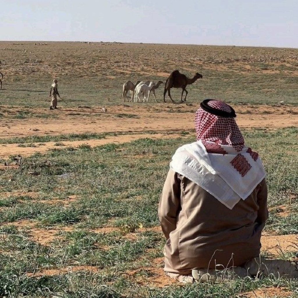 Rthaa1M's tweet image. وَيَجهَدُ الناسُ في الدُنيا مُنافَسَةً 
وَلَيسَ لِلناسِ شَيءٌ .. غَيرَ ما رُزِقوا