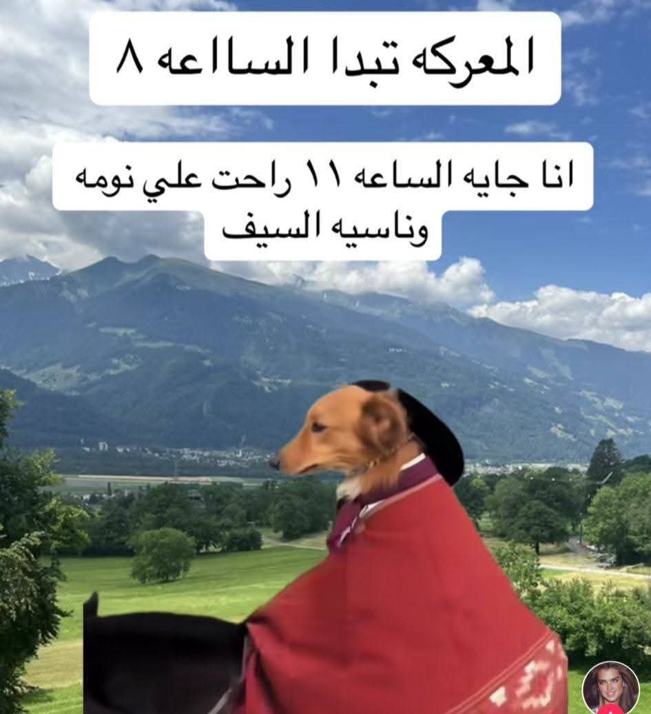 Youmna (@youmnaelkhouli) on Twitter photo 