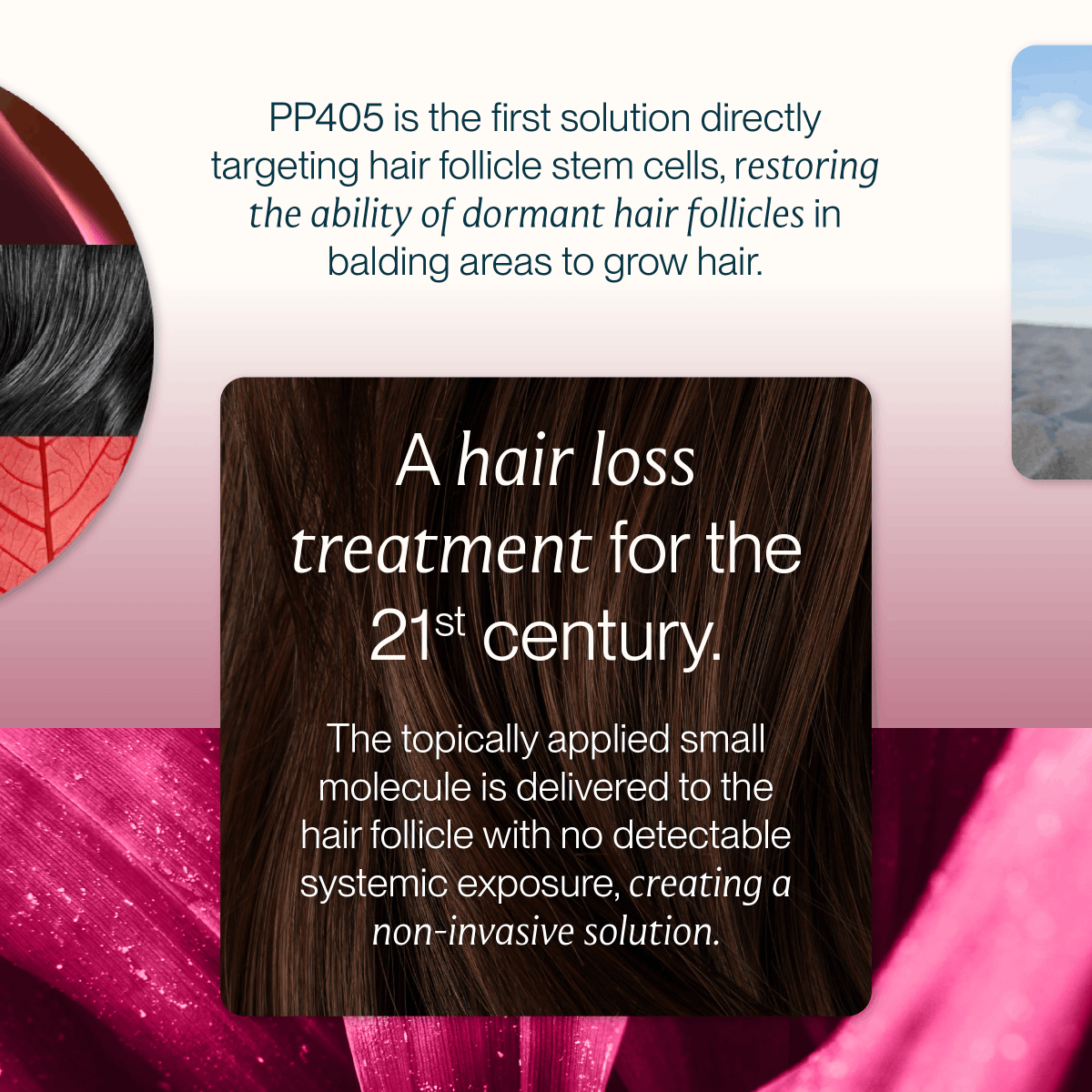 Pelage Pharmaceuticals tweet media
