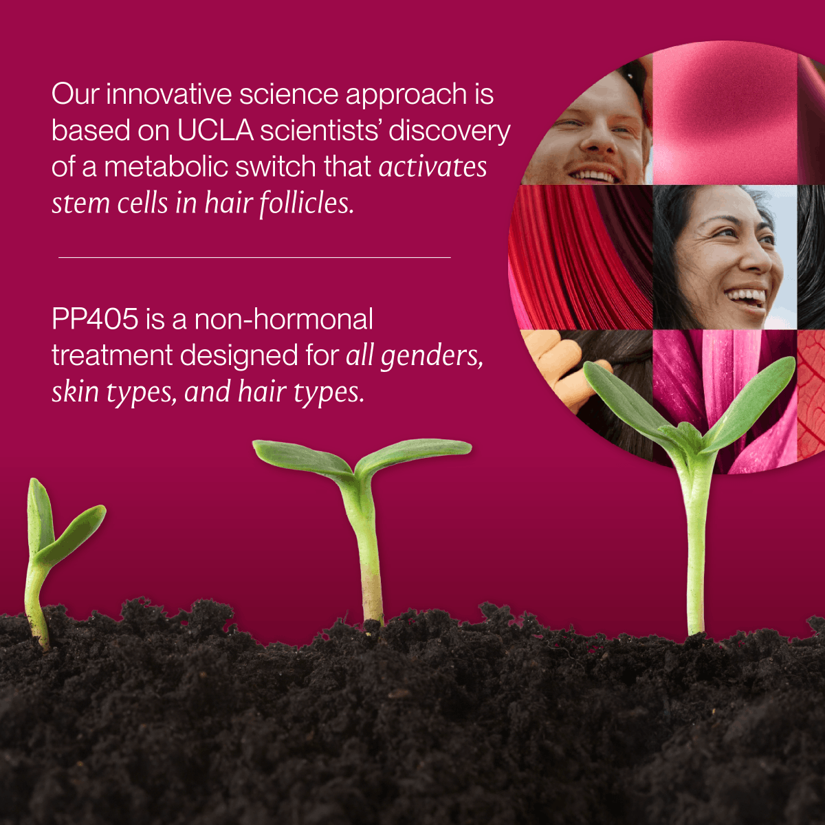 Pelage Pharmaceuticals tweet media
