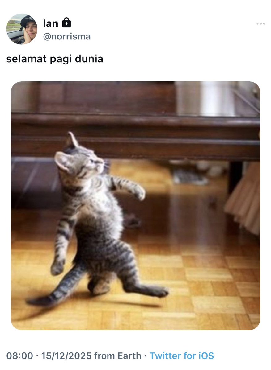 eightynite's tweet photo. ᅠ #landoscar short au
ᅠ — it isn't perfect, but it might be

lando seorang overworker yang harus belajar cara untuk membagi pekerjaannya dengan oscar yang senang menolong. https://t.co/6oV57NUOwT