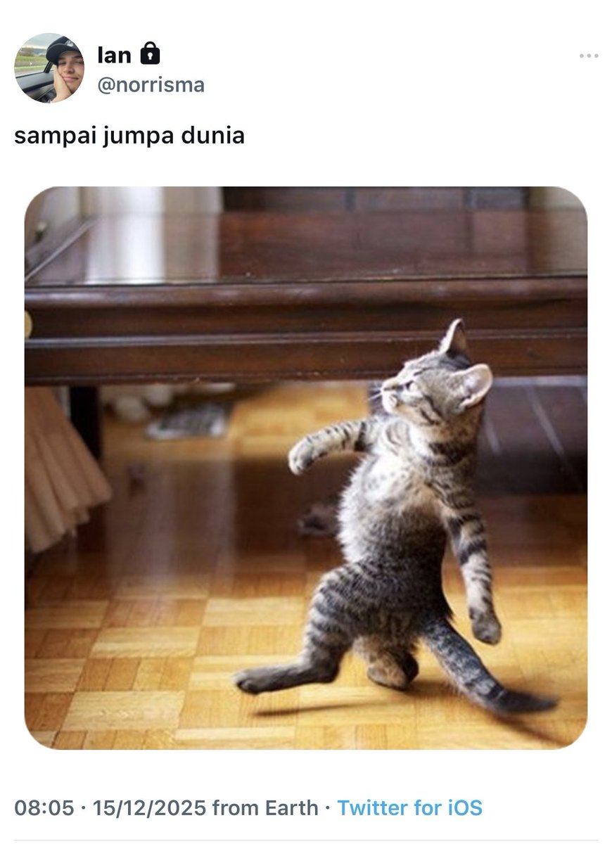 eightynite's tweet photo. ᅠ #landoscar short au
ᅠ — it isn't perfect, but it might be

lando seorang overworker yang harus belajar cara untuk membagi pekerjaannya dengan oscar yang senang menolong. https://t.co/6oV57NUOwT