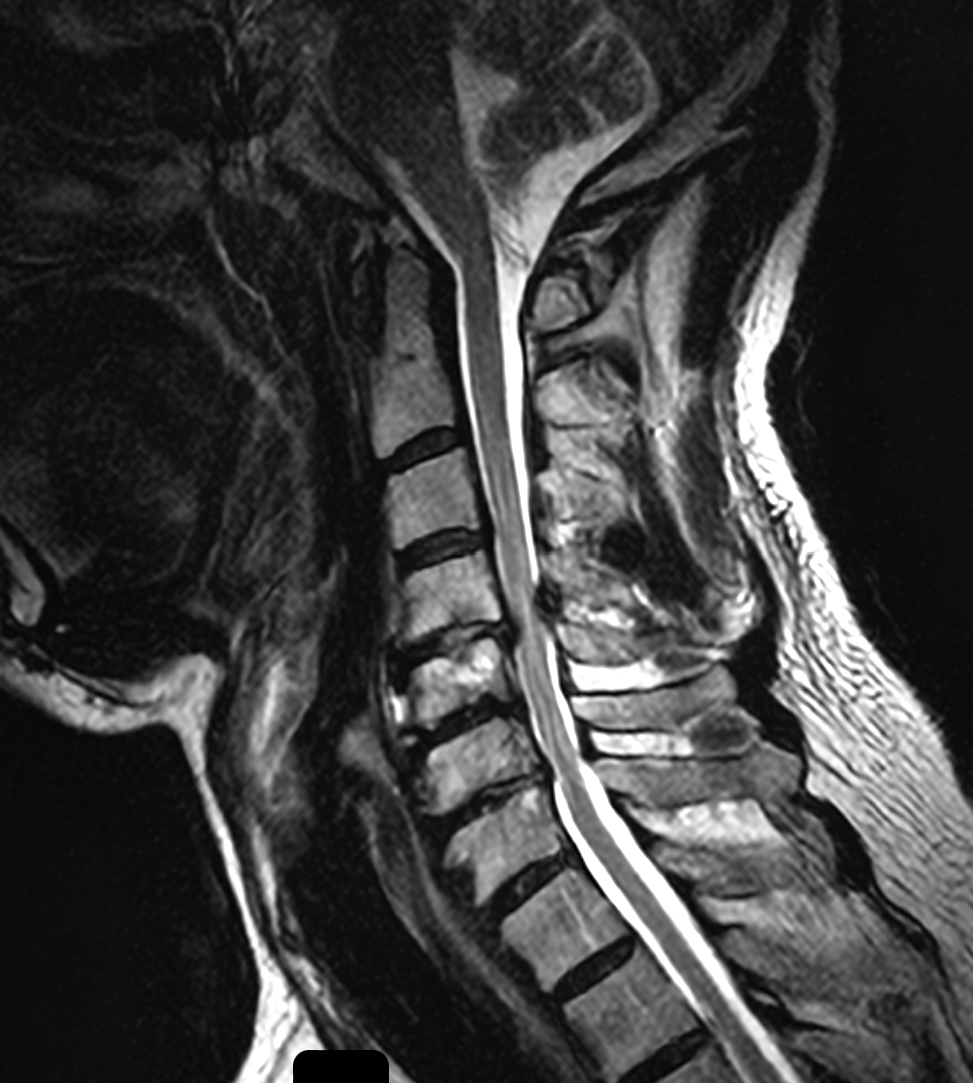 James Noake tweet media