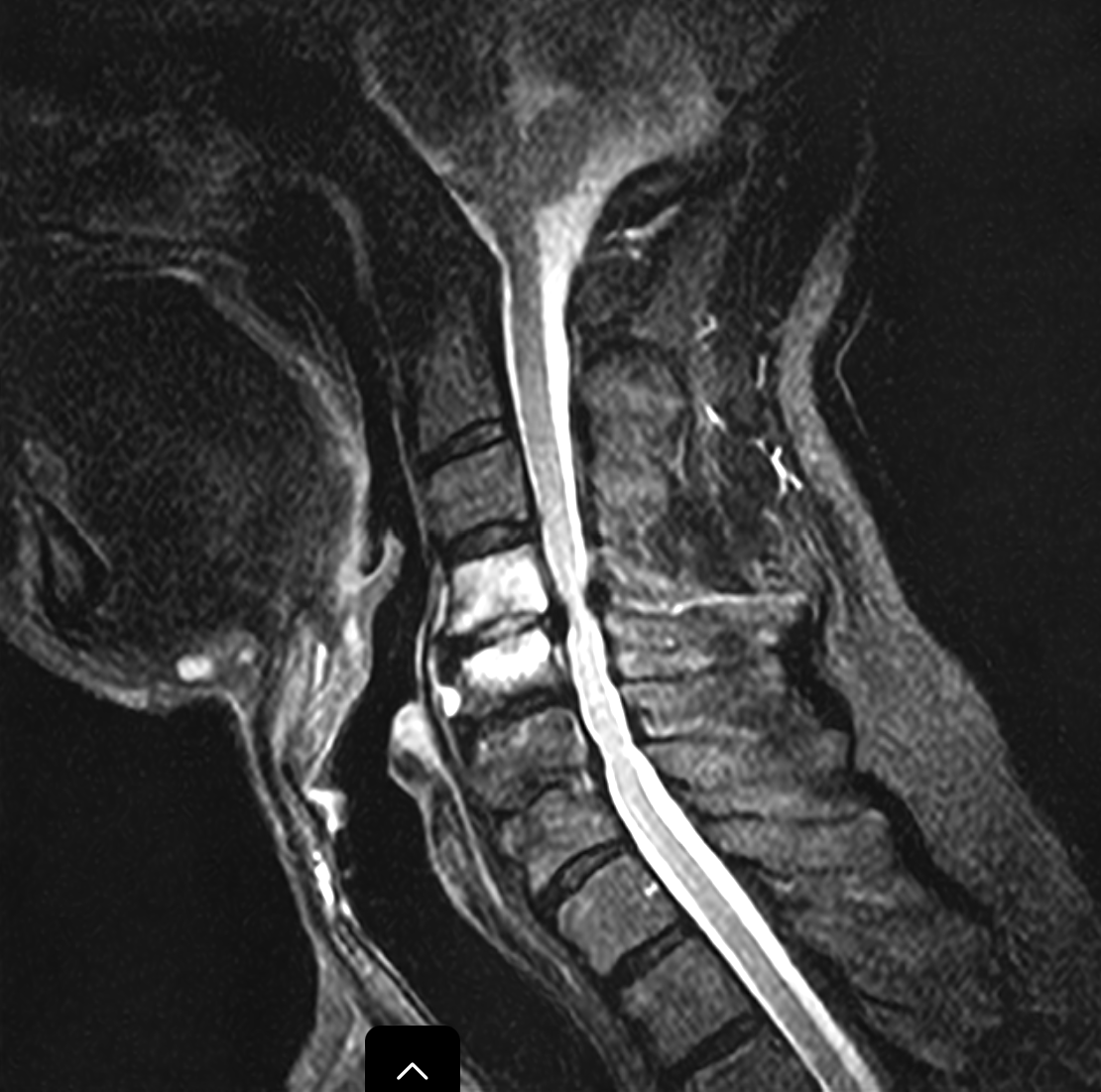 James Noake tweet media