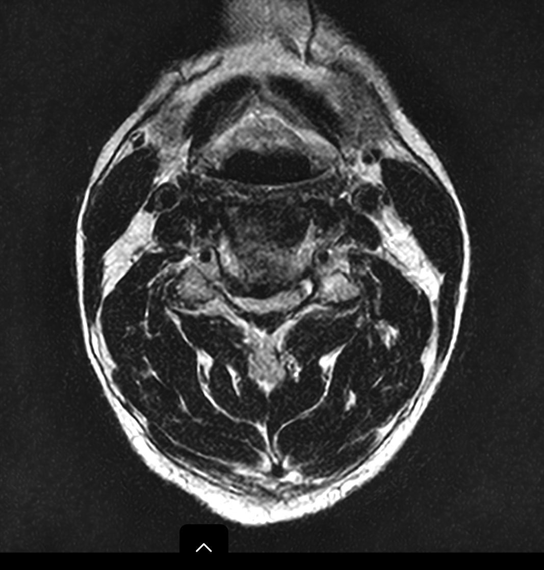 James Noake tweet media