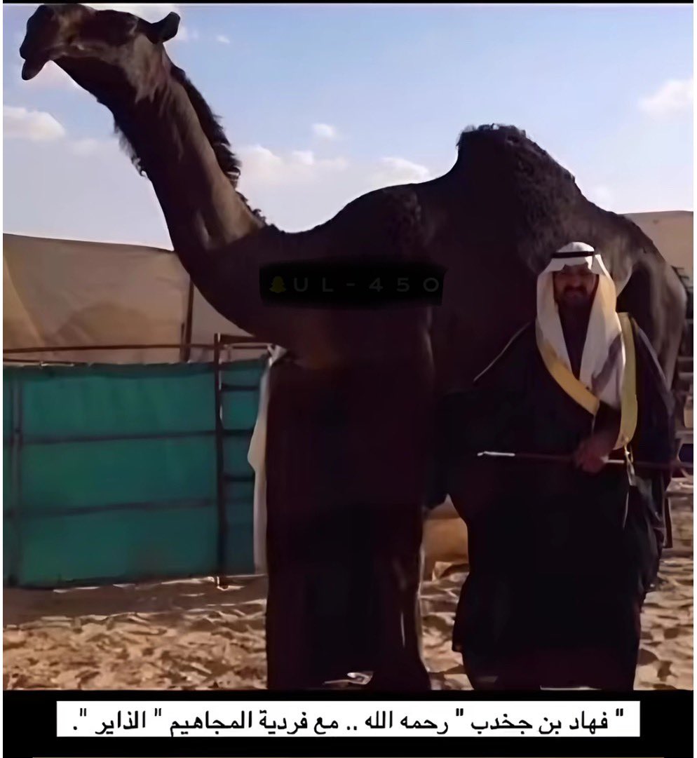 الشيخ فهاد بن جخدب آل فاضل آل سعد الجحدري القحطاني (رحمه الله) كان له بصمة في عالم مزاين الإبل وهو صاحب فردية المجاهيم الشهيرة (الذاير) وهي تلاد عنده وتصدير منه وسمي بها شوط في مهرجان الملك عبدالعزيز للإبل ::::