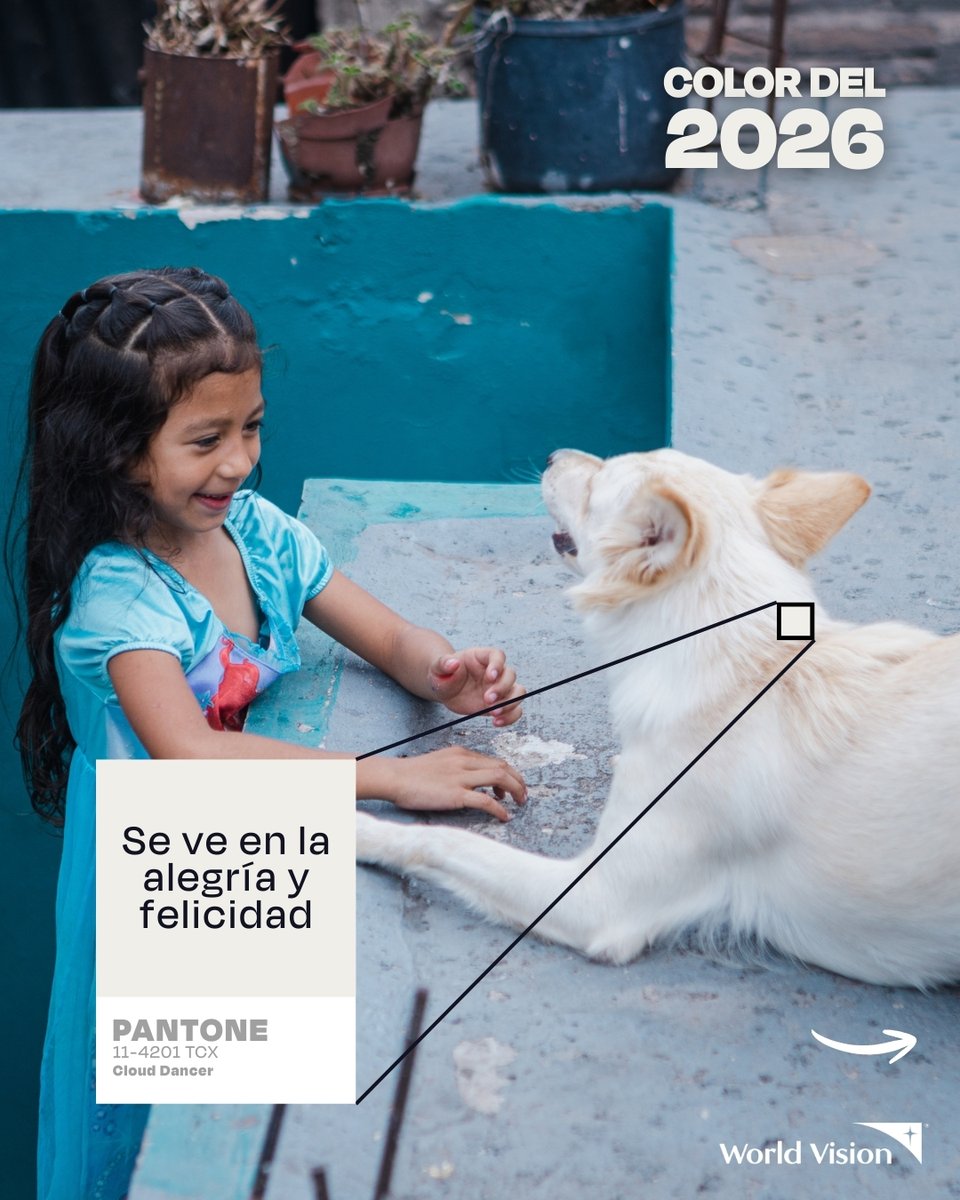 WorldVisionHN's tweet photo. Color Pantone 2026 habla de esperanza 🤍

Nos recuerda el valor de la tranquilidad y la reflexión. Este tono abre espacio a creatividad, y acciones que abren caminos de protección, bienestar y desarrollo para la niñez y sus familias🧡.

Únete al cambio: https://t.co/HJ4JwboMuN✨ https://t.co/Zoqho4mfuL