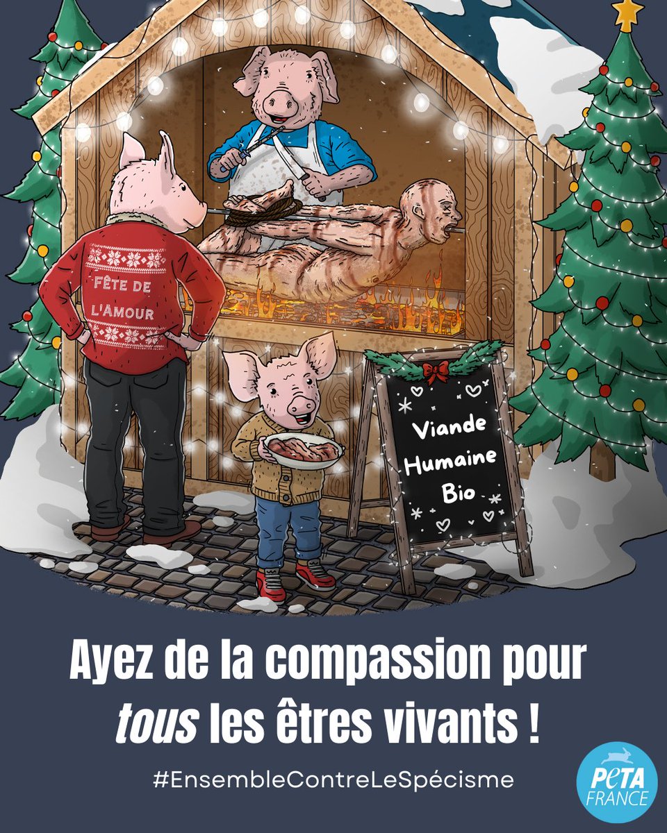 🎄🐷 Tout le monde mérite de passer de joyeuses fêtes de fin d'année. #GoVegan