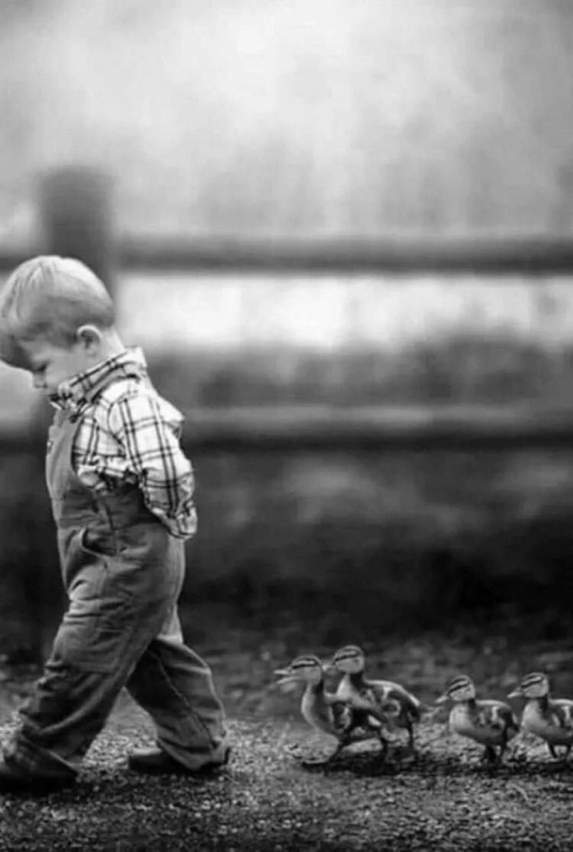 أغلب البشر لا يستطيعون التمييز بين 

الشخص الإنطوائي وبين الشخص الذي 

يتهرب من سخافتهم ..

🥀🕊️