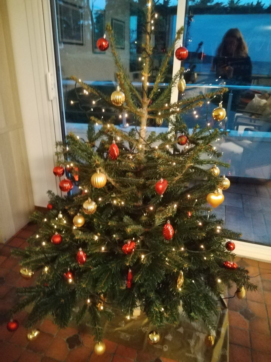 Sapin de Noël le 16/12/2025