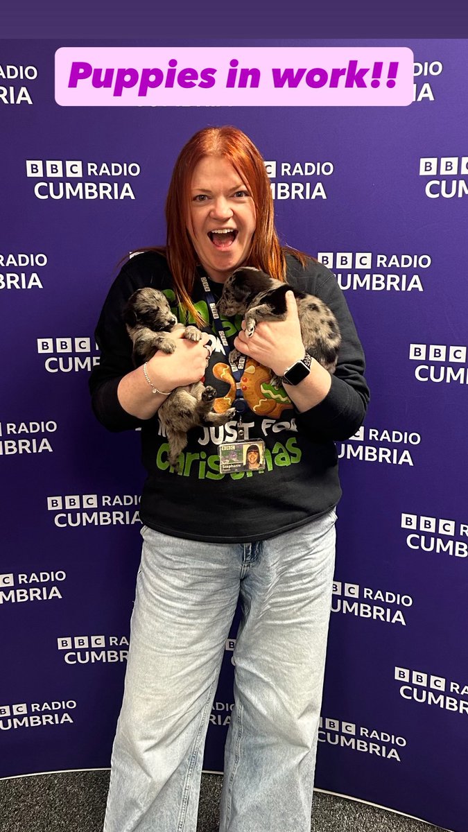 Stephanie Finnon tweet media