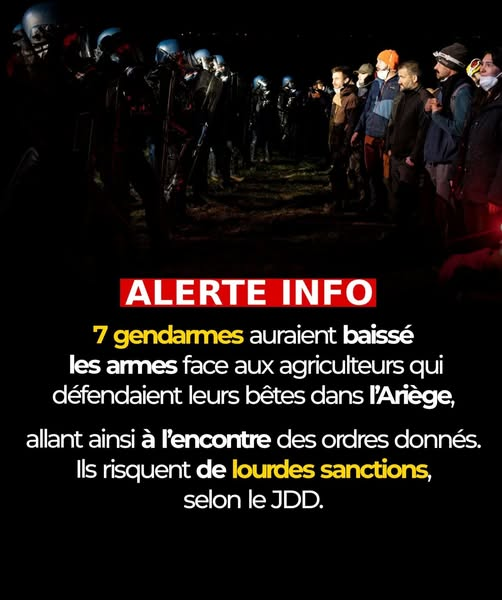 Jacques Renardiere tweet media