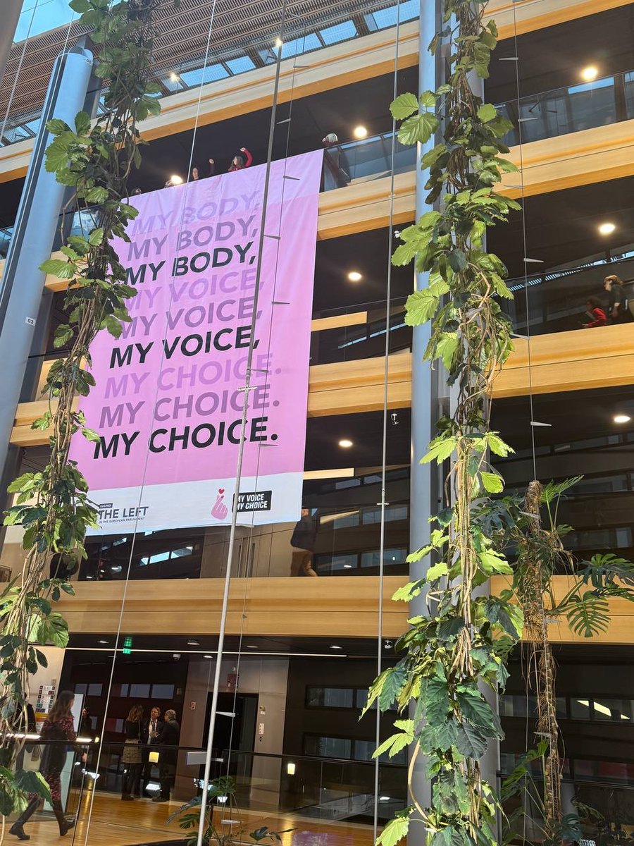 RimaHas's tweet image. Grâce à la mobilisation de la société civile, l’Initiative Citoyenne Européenne #MyVoiceMyChoice a rassemblé 1 124 513 signatures : un signal démocratique fort pour garantir l’accès à l’IVG sûr et légal partout en Europe.

Des députés de la Commission des droits des femmes et de…