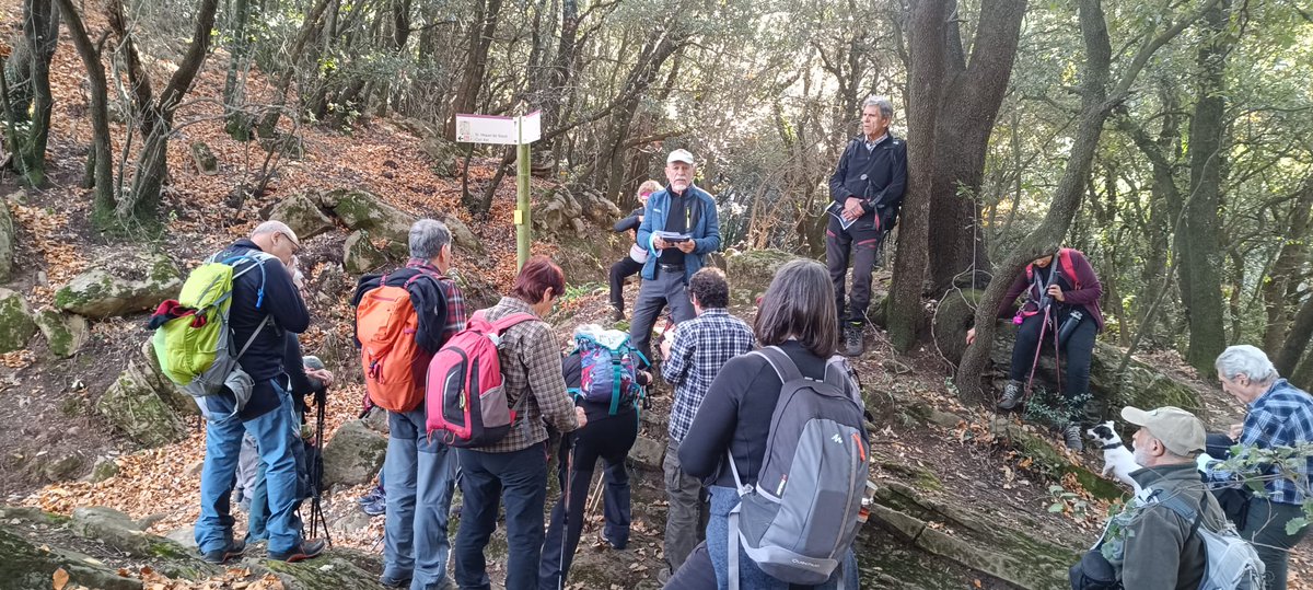 10/12 2025  VOLTANTS D'OLOT. Sortida a Sant Iscle de Colltort. Camí dels Maquis.
Excursió amb CE Pica d'Estats

Camí direcció al Coll d'en Bas, girarem abans cap a la masia de Puigverd, Sant Iscle de Colltort.

Distància: 7,600 m. 
Desnivell: 365 m.

#cepicadestats