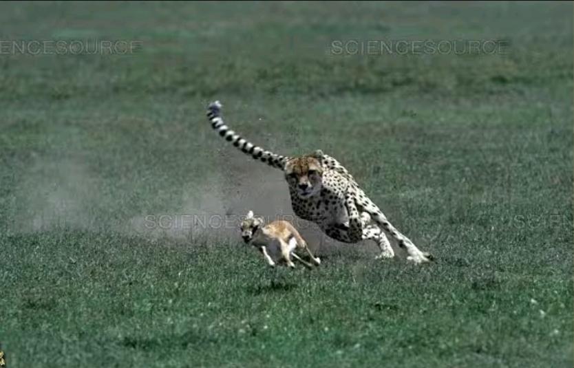 John Omo tweet media