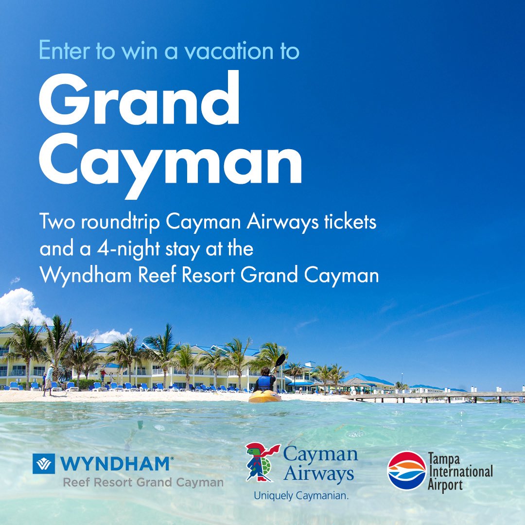 Tampa International Airport ✈️ tweet media