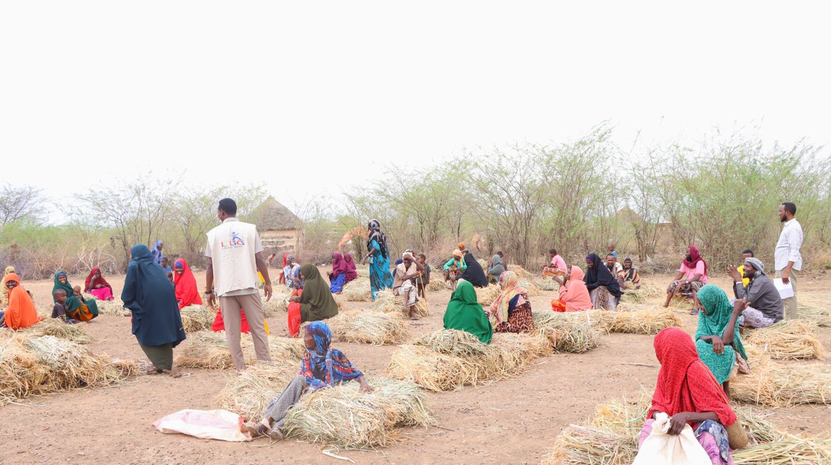 Lifeline Gedo tweet media