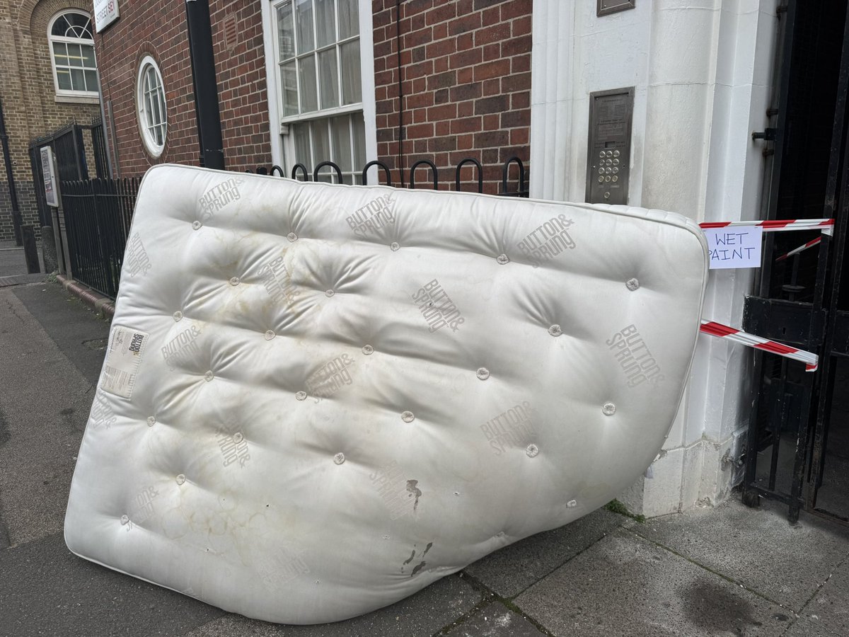 Alison Hamilton 💙 tweet media