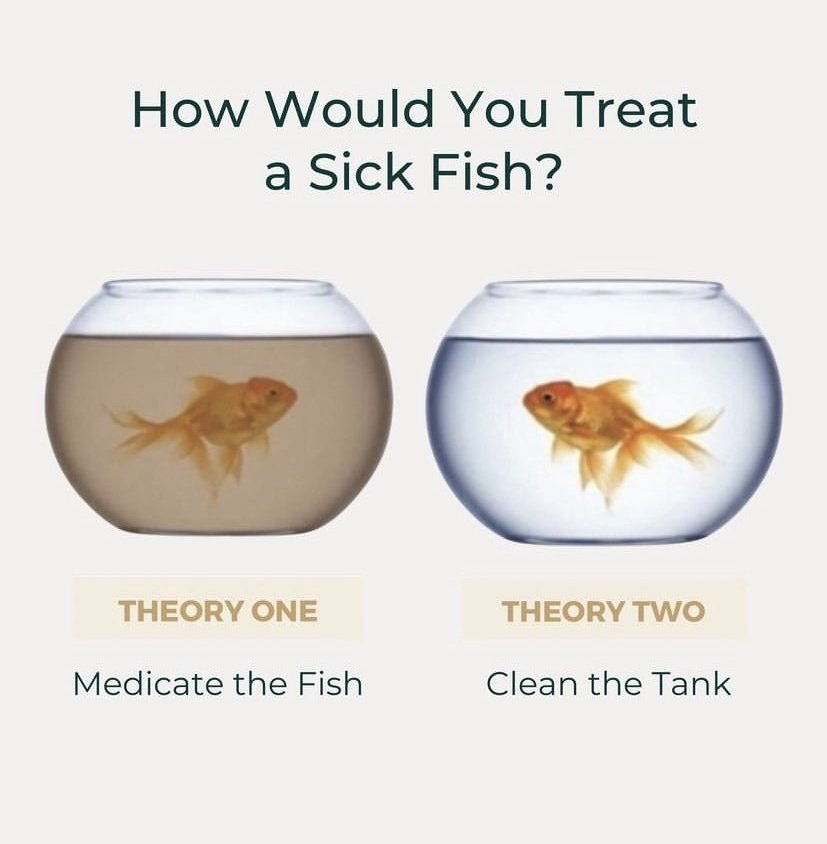 amerix's tweet photo. THEORY ONE is how modern hospitals treat patients.

THEORY TWO is how hospitals were meant to treat patients. https://t.co/hMfcIVhR7k